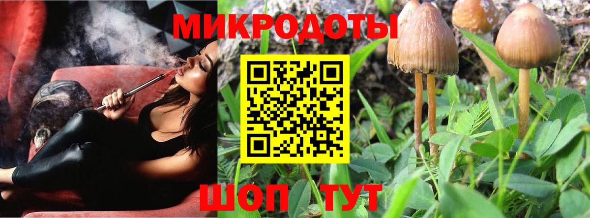 Сыктывкар  купить наркотик  Вход с VPN  Галлюциногенные грибы Psilocybine cubensis 